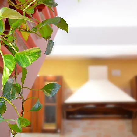 La Graziella - La Dependance بيت للعطل *